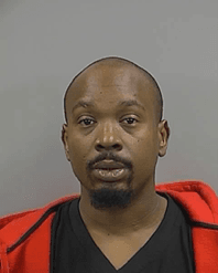 taylor, tavis stanton