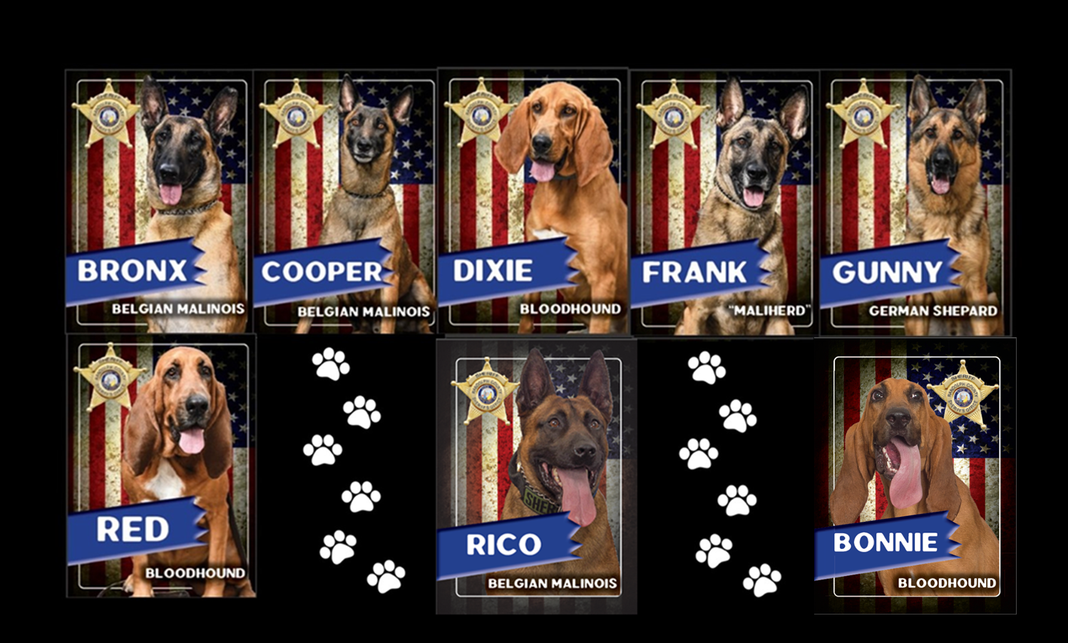 k9 card front