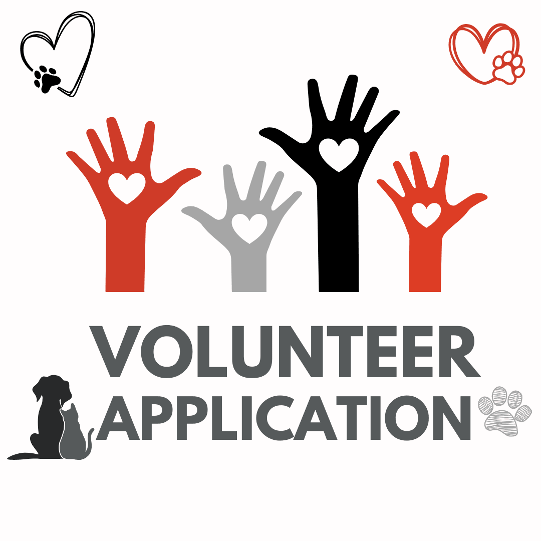 Volunteer application